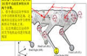 寻找运动搭子：努力、勤恳与共同进步的旅程